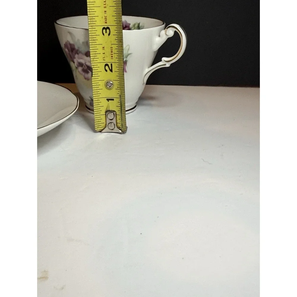 Royal Patrician Purple Pansy Bone China Tea Cup & Saucer England Floral